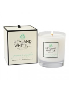 Greentea and Grapefruit Candle in a Glass Greentea and Grapefruit Candle in a Glass